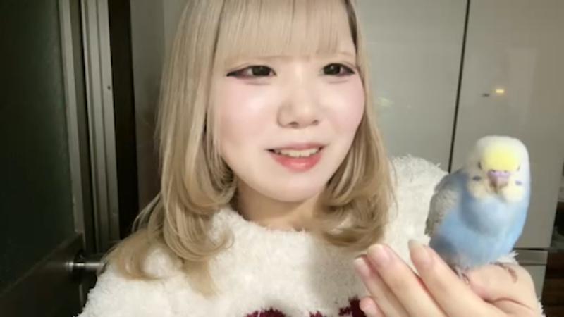 番組サムネイル