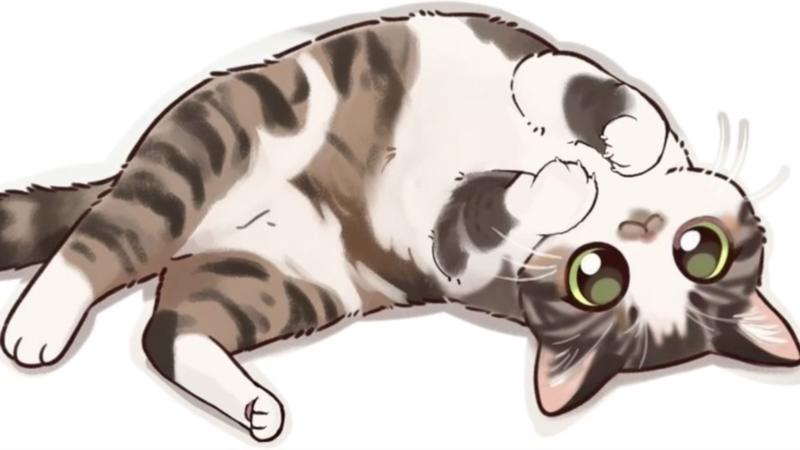 番組サムネイル