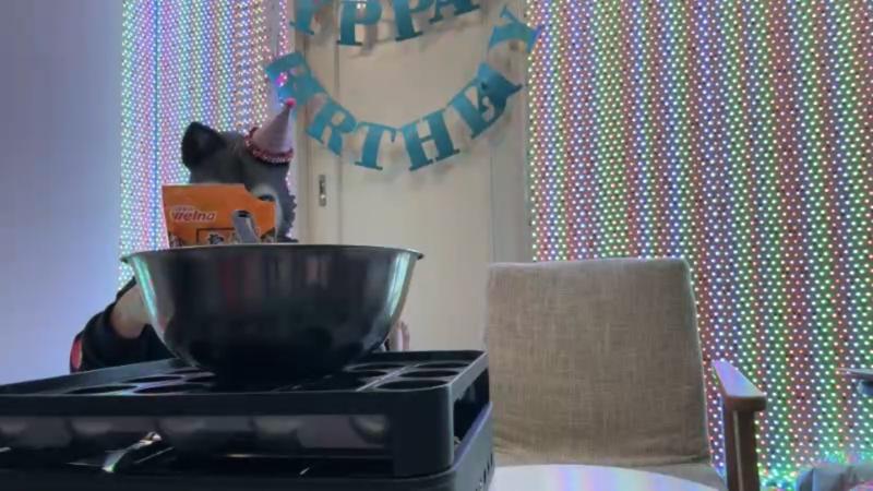 番組サムネイル