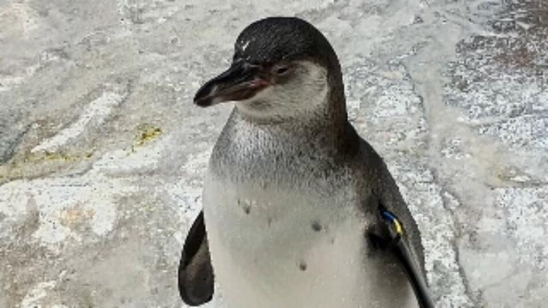 番組サムネイル