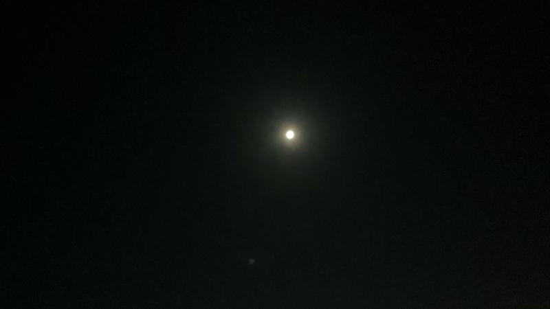 118 - 2026/1/18(日) 0:27開始 - ニコニコ生放送