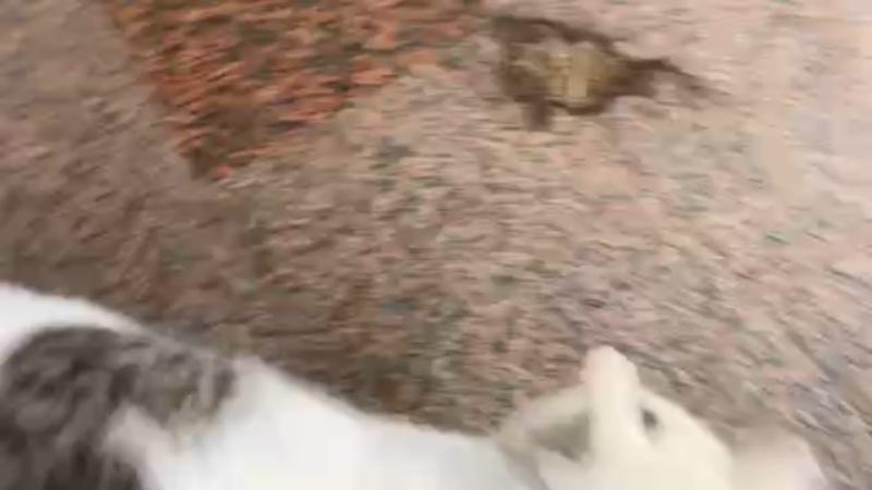 番組サムネイル