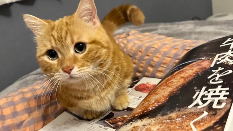 番組サムネイル