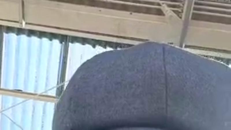 番組サムネイル