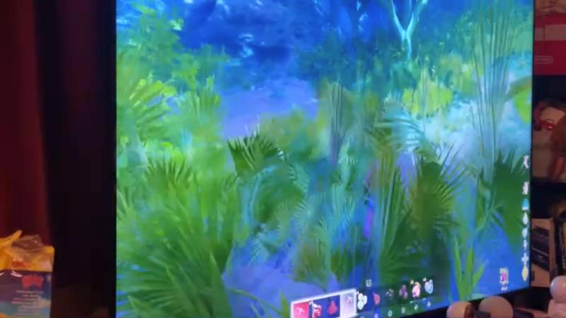 番組サムネイル