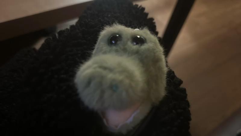 番組サムネイル