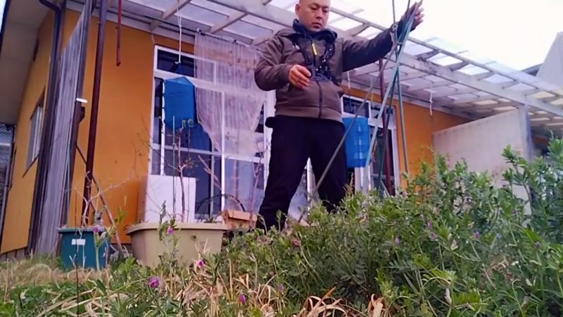 番組サムネイル