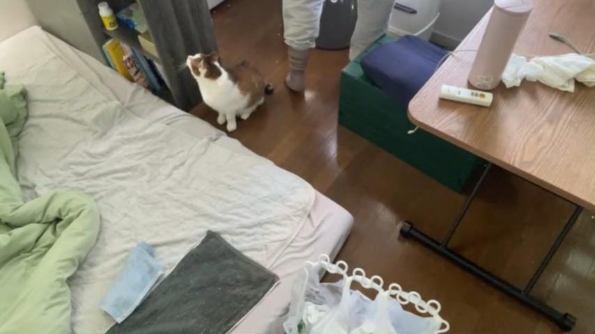 番組サムネイル