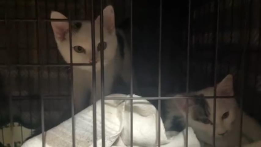 番組サムネイル