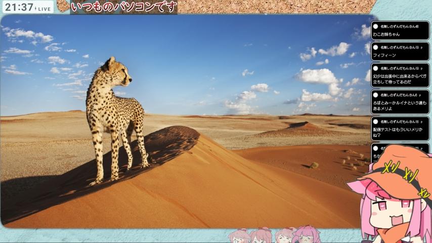 番組サムネイル