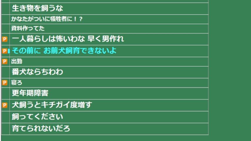 番組サムネイル