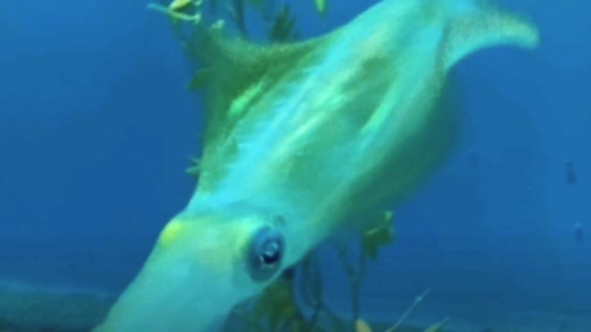 番組サムネイル