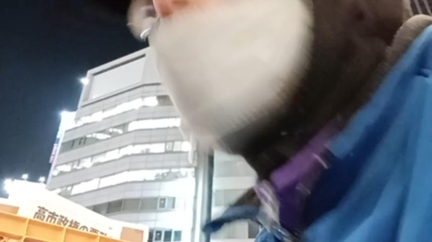 番組サムネイル