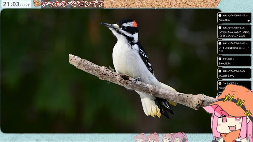 番組サムネイル