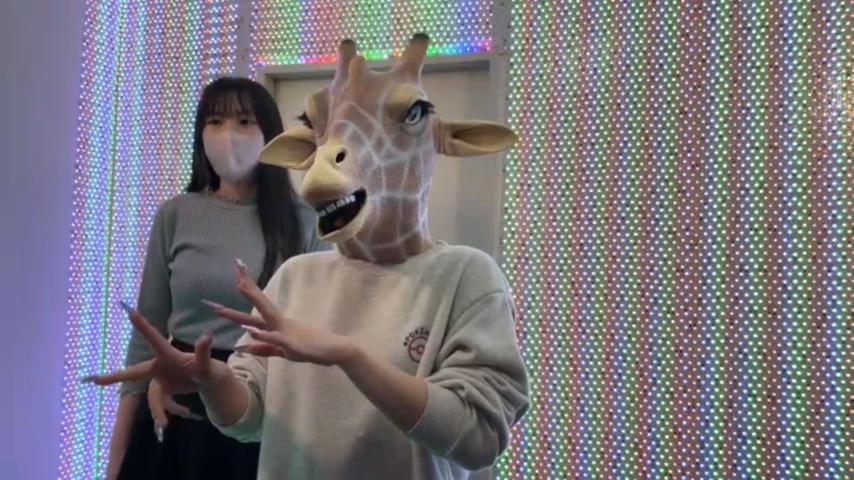 番組サムネイル