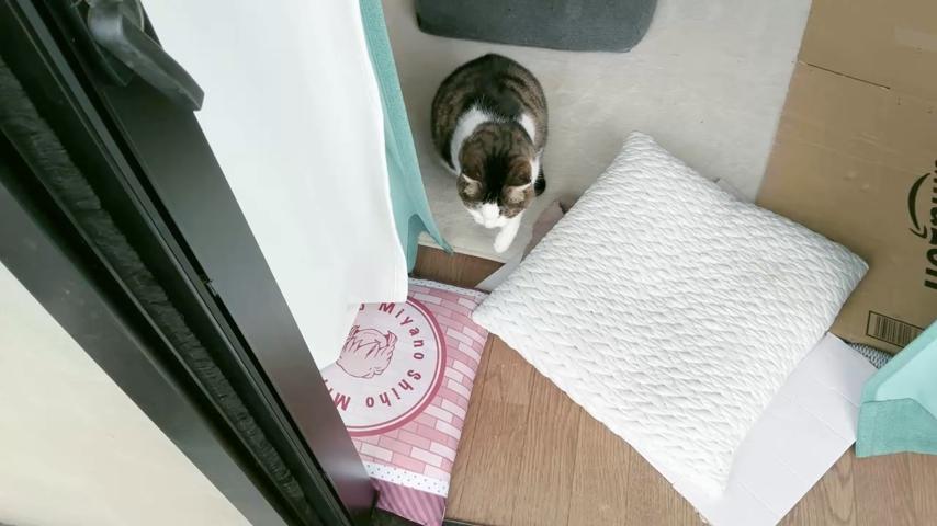 番組サムネイル