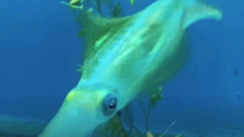 番組サムネイル