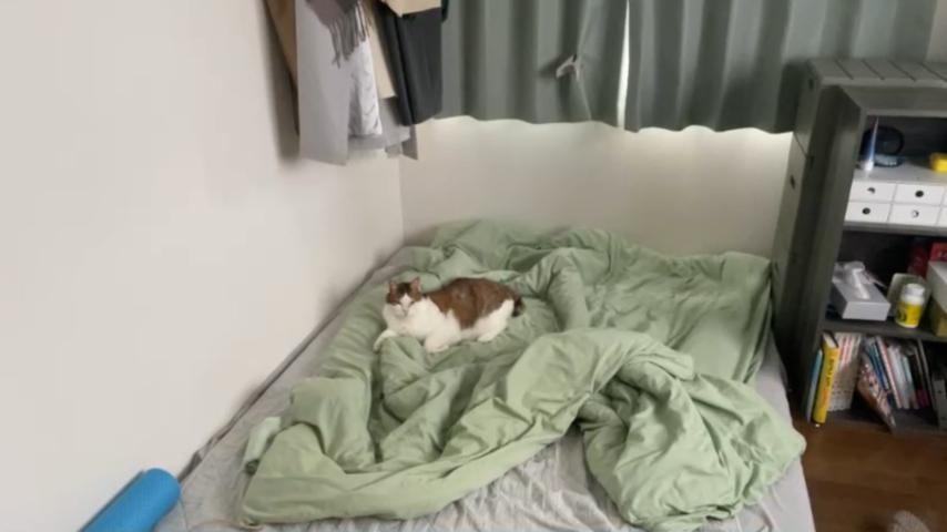 番組サムネイル