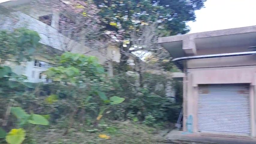 番組サムネイル