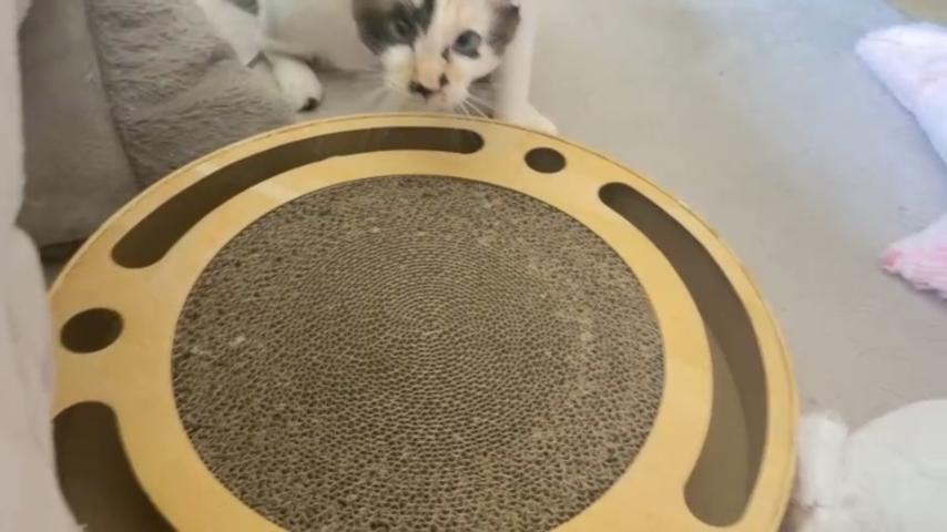 番組サムネイル