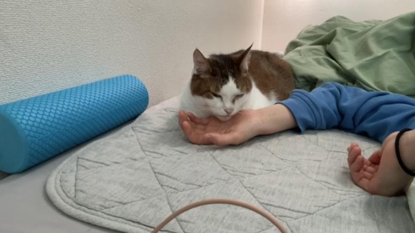 番組サムネイル