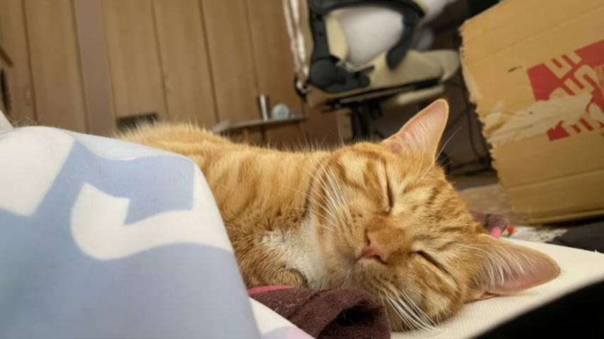 番組サムネイル