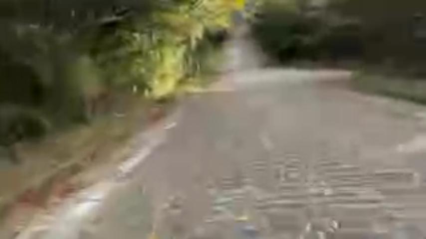 番組サムネイル