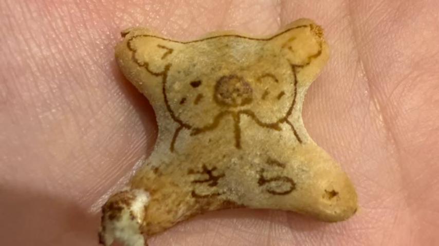 番組サムネイル