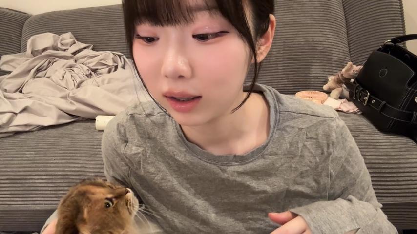 番組サムネイル