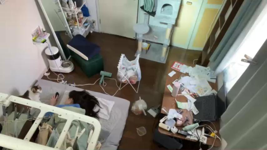 番組サムネイル