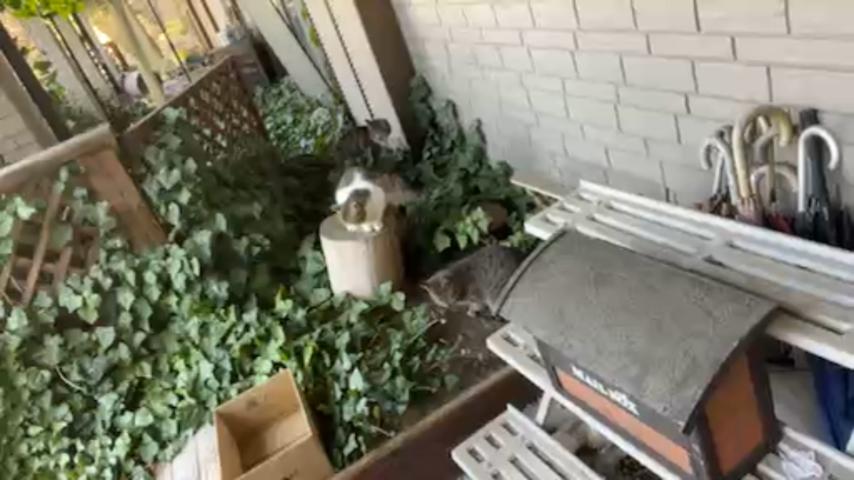 番組サムネイル