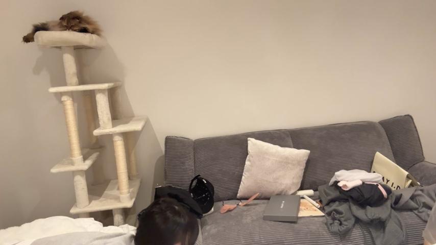 番組サムネイル