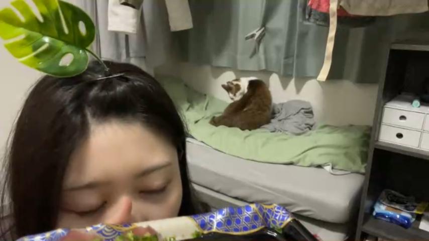 番組サムネイル