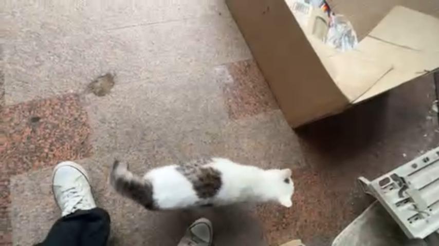 番組サムネイル