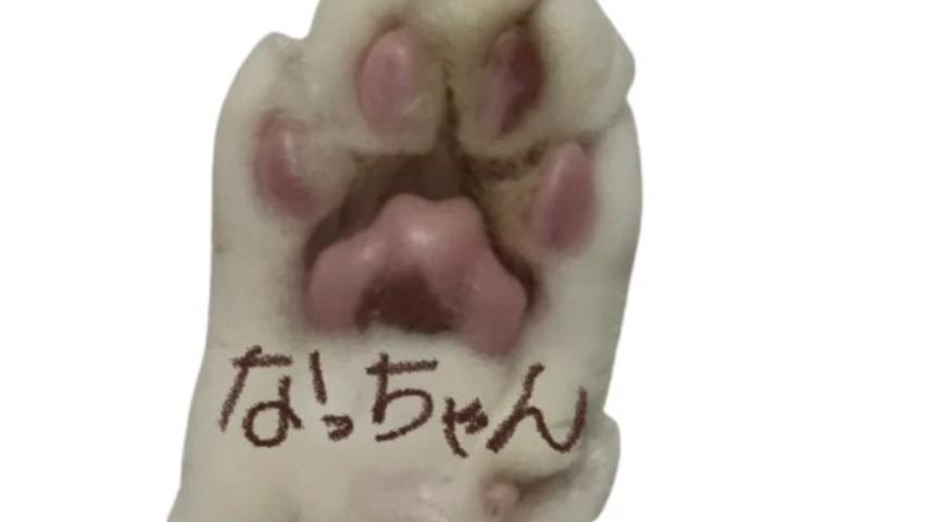 番組サムネイル