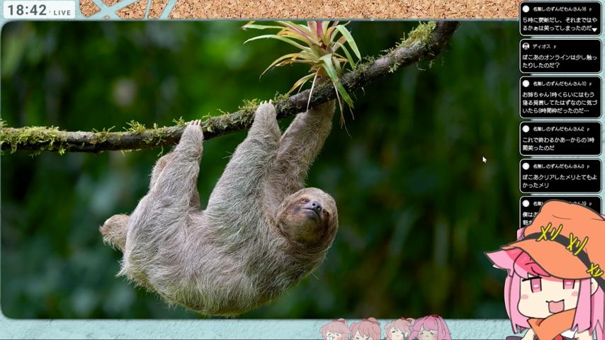 番組サムネイル