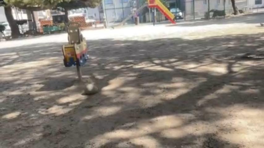 番組サムネイル