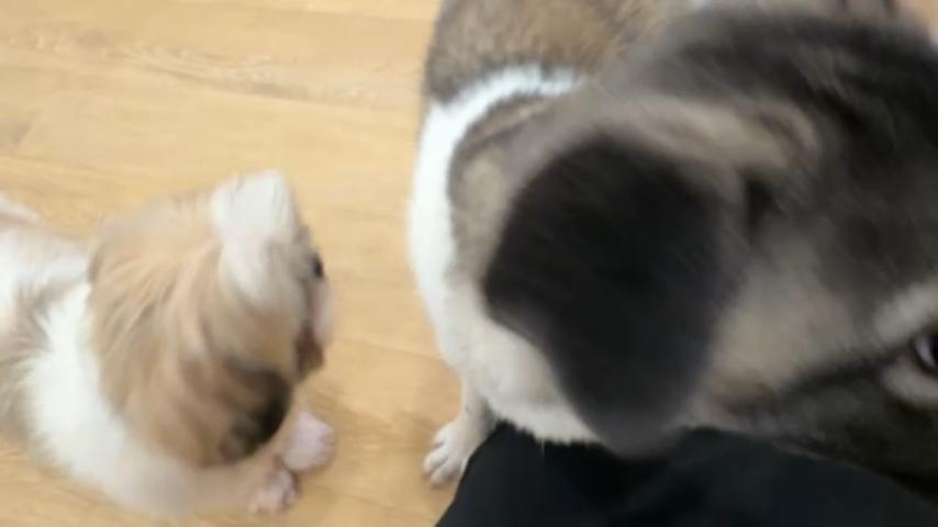 番組サムネイル