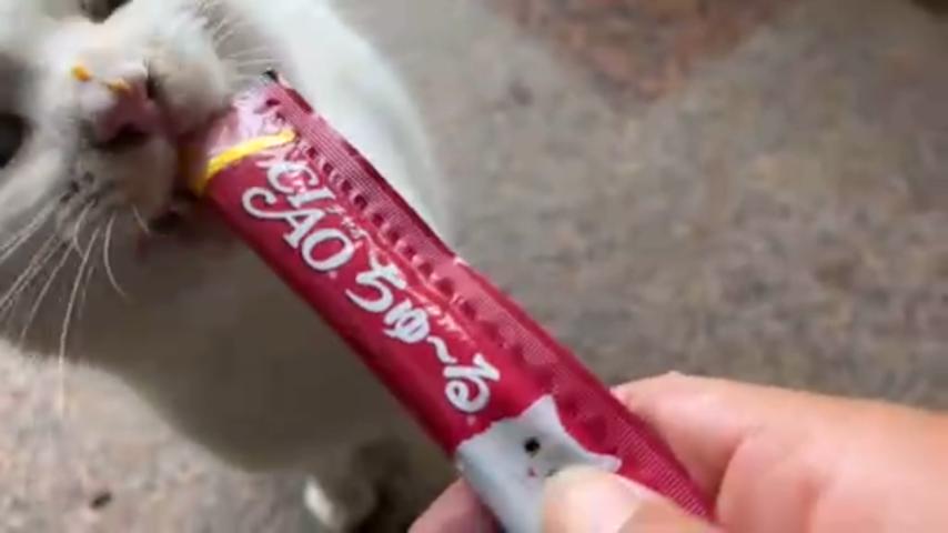 番組サムネイル