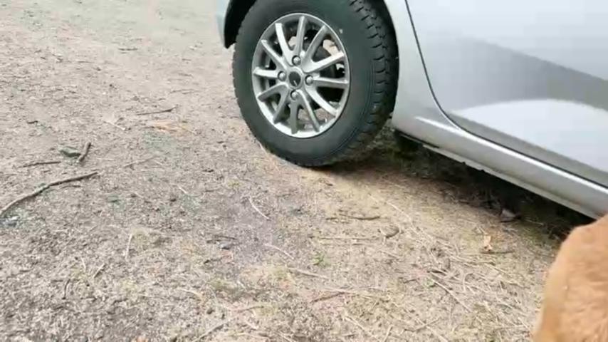 番組サムネイル