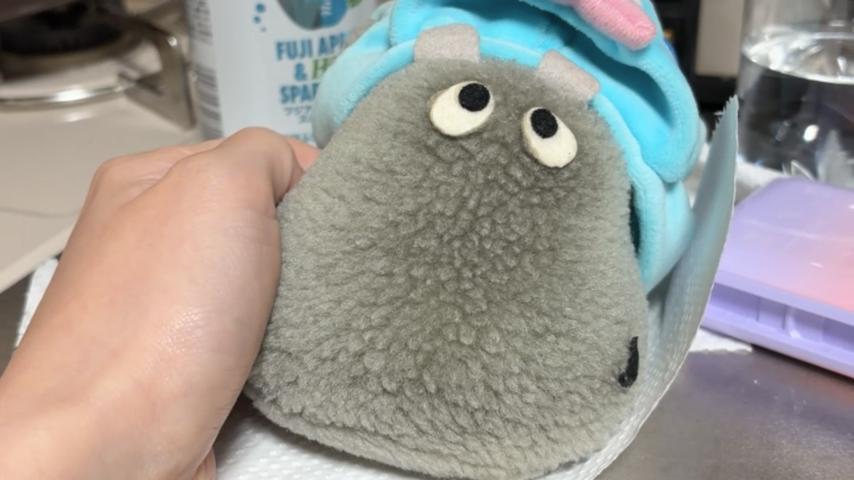 番組サムネイル