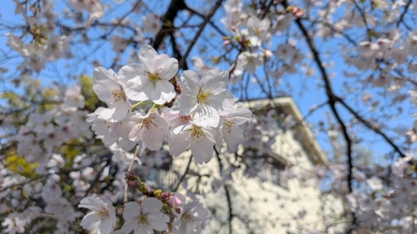 番組サムネイル