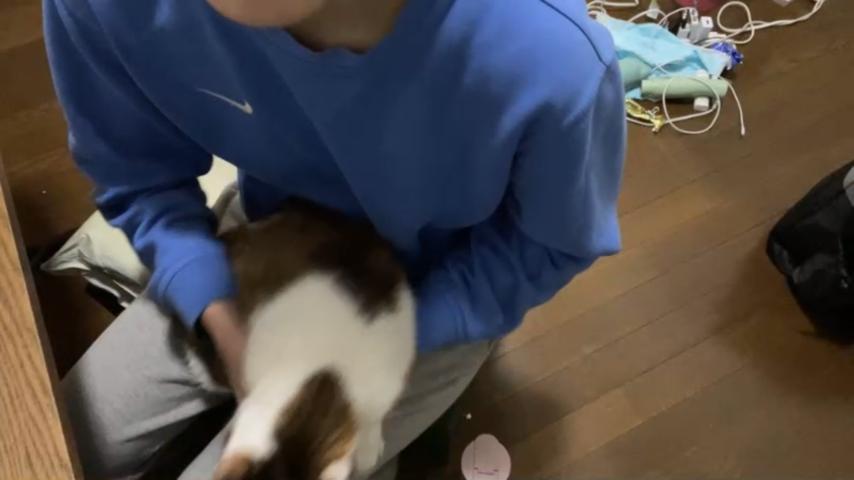 番組サムネイル