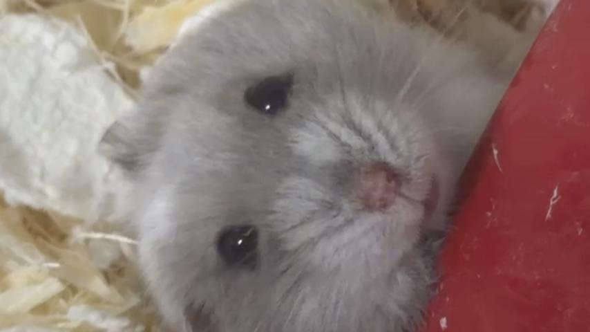 番組サムネイル