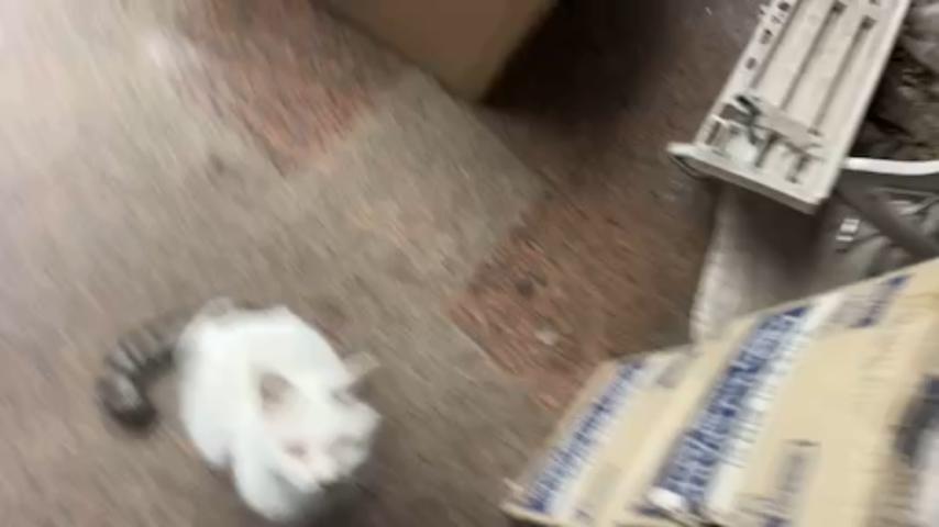 番組サムネイル