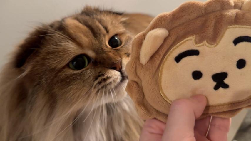番組サムネイル
