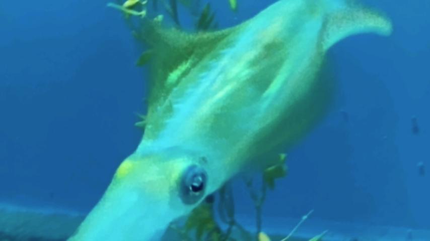 番組サムネイル