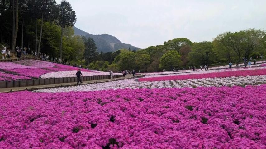 番組サムネイル