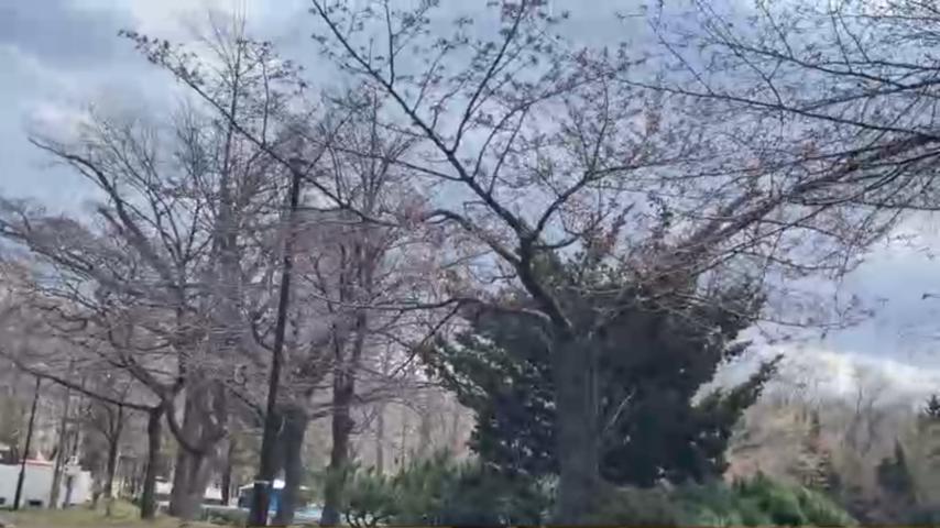 番組サムネイル