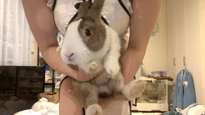 番組サムネイル